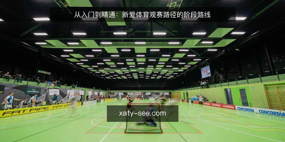 从入门到精通:新爱体育观赛路径的阶段路线 — 建立观赛基线:明确目标与资源 配图