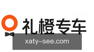 新爱体育